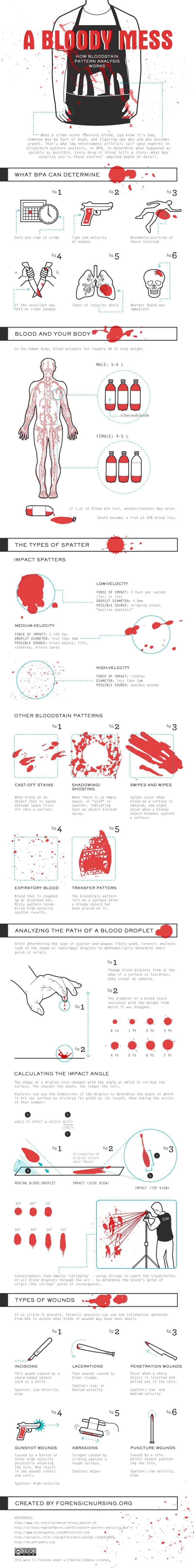 Infographic about bloodstain pattern analysis