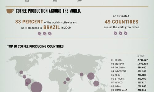 Coffee and the Global Economy