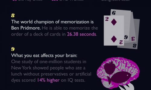15 Things You Didn't Know About the Brain