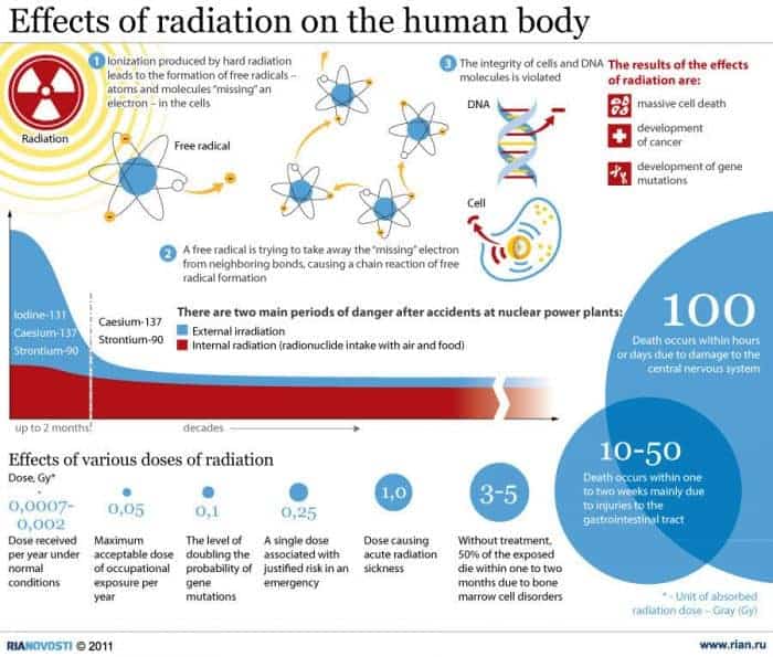 Effects Of Radiation On The Human Body Daily Infographic