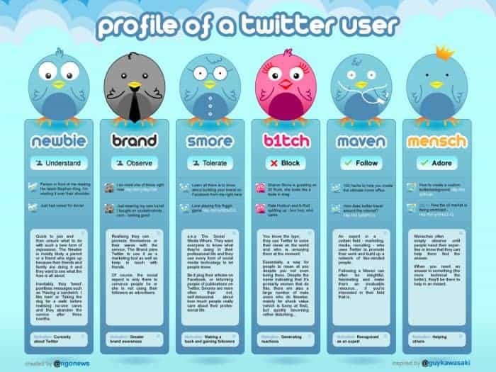 Profile of a twitter user