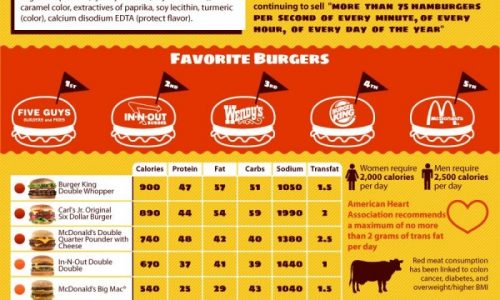 Hamburgers Infographic