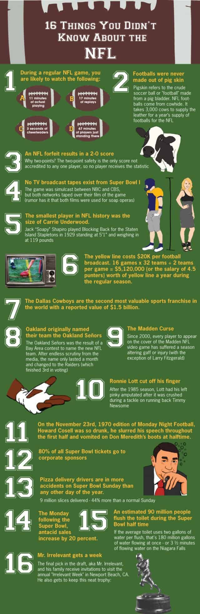 NFL Fun Facts Infographic