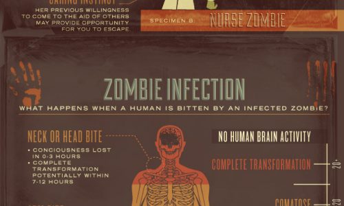 A Guide to Zombie Survival