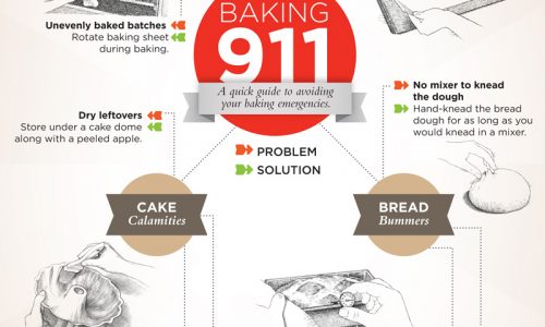 A Quick Guide To Avoid Baking Emergencies