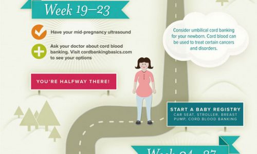 Path To A Healthy Pregnancy