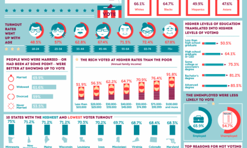 Votes In America Infographic