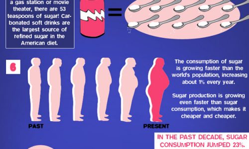 14 Facts About Sugar