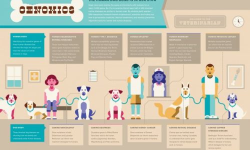 Genomics of Humans and Dogs