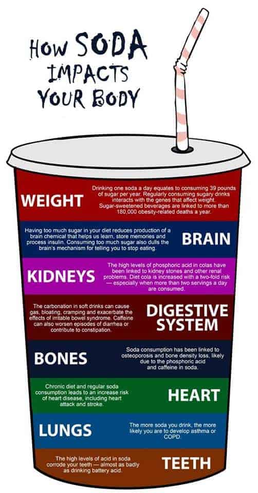 How Soda Impacts Your Body Daily Infographic