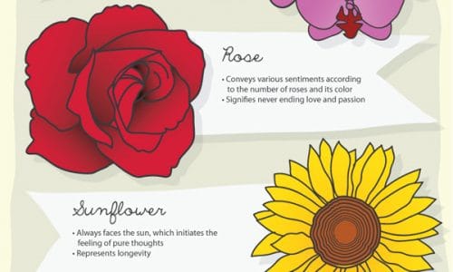 Flowers and What They Symbolize