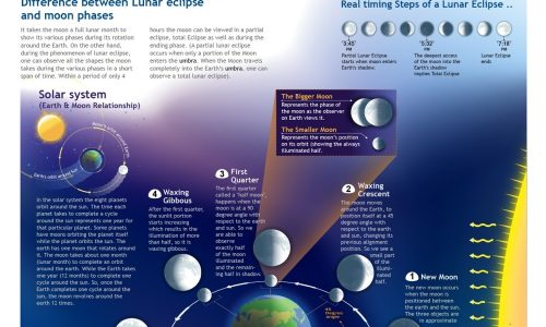 8 Phases of the Moon Infographic