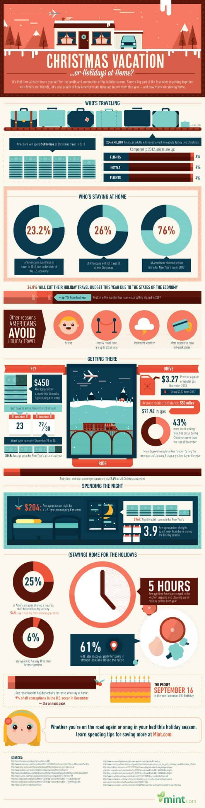 Christmas Vacation or Holidays At Home Infographic