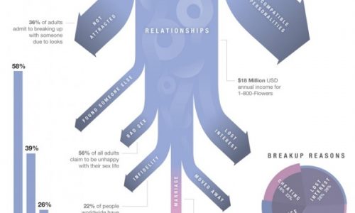 Breakup Reasons Infographic