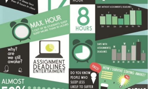 Why We Sleep Less Than 8 Hours Infographic