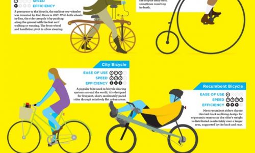 Mother Nature's Pop Science Guide to Cycling