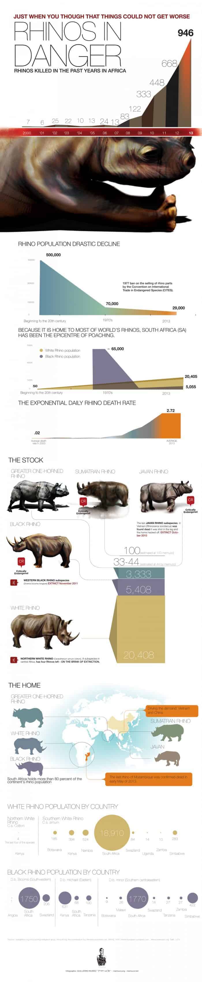 Rhinos In Danger Infographic