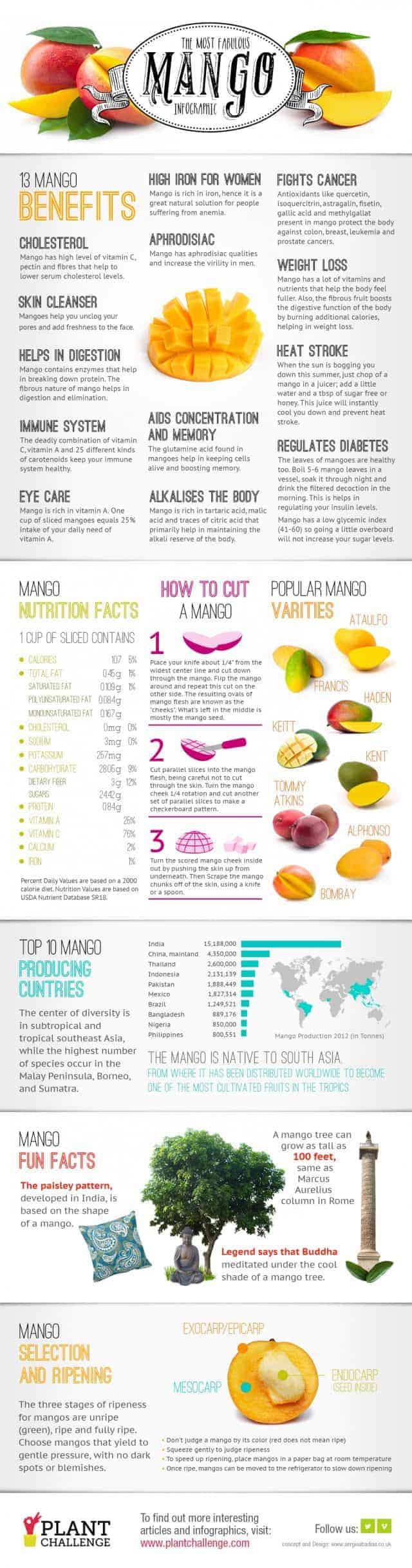 Most Fabulous Mango Infographic