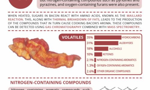 Aroma Of Frying Bacon Infographic