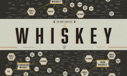 Many Varieties Of Whiskey Infographic