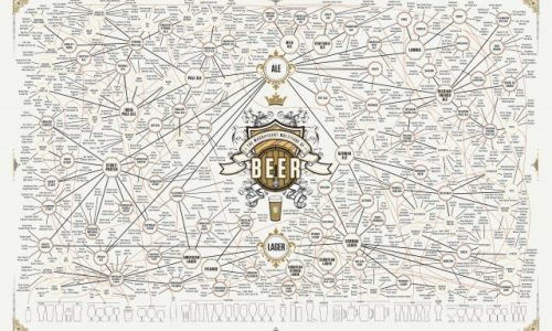 Magnificent Multitude Of Beer Infographic