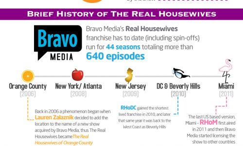 Success of the Real Housewives Infographic