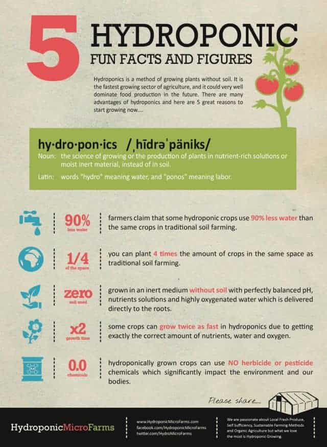 5 Hydroponic Fun Facts And Figure