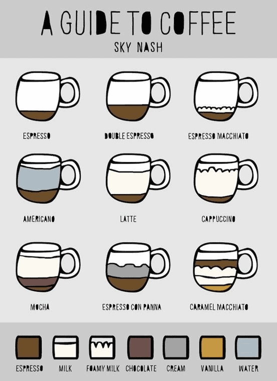 A Visual Guide to Coffee