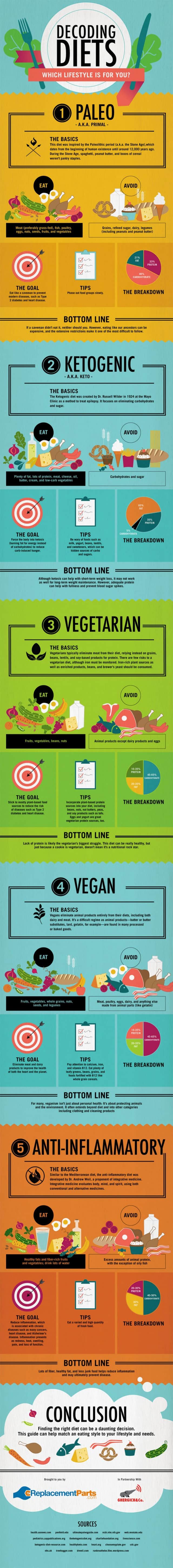 What Diet is Right for You Infographic