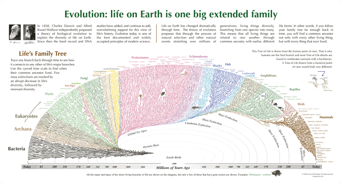 Evolution Life On Earth Is One Big Extended Family