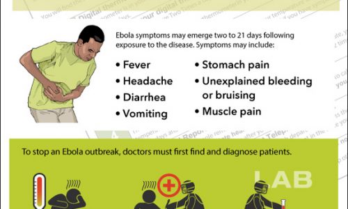 What to Do if You get Ebola