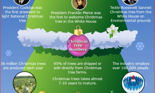 Christmas Tree Facts