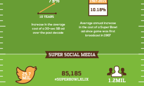 Super Bowl XLIX By The Numbers Infographic