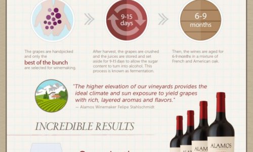 Malbec Wine Enthusiast Infographic