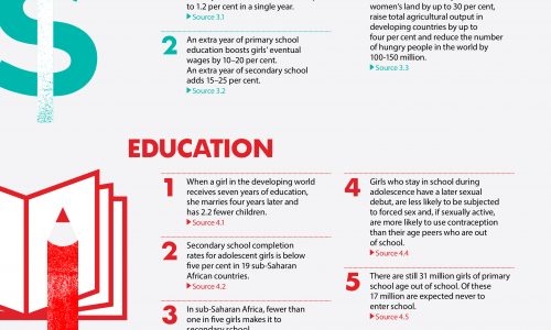 Girl Effect Fact Sheet Infographic