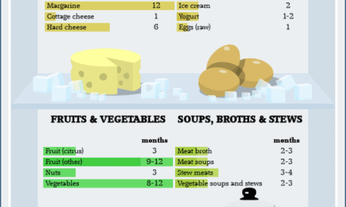 Frozen Food Storage Infographic
