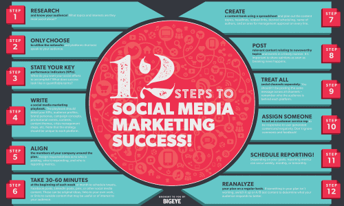 12 Steps to Social Media Marketing Success Infographic