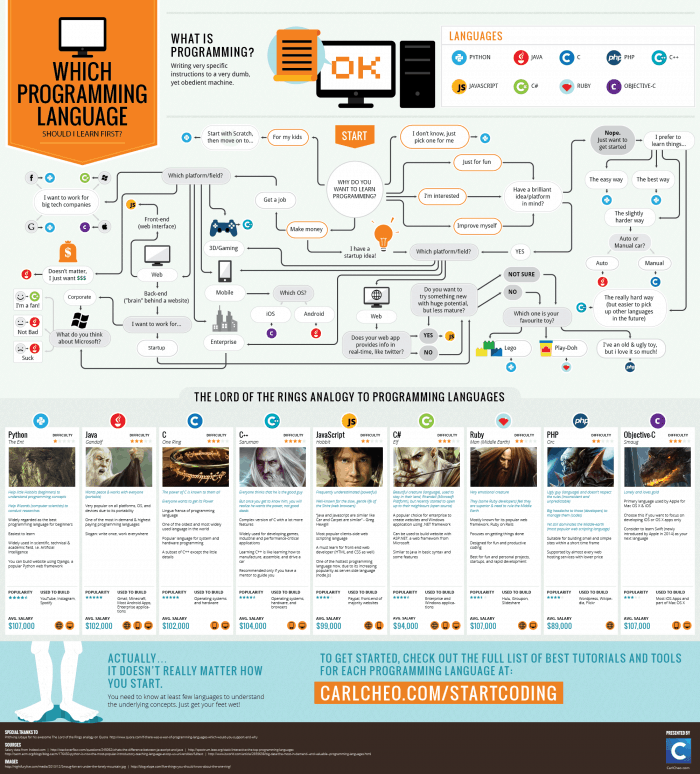 Programming Language Infographic