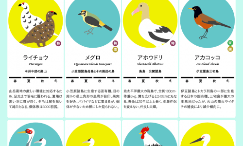Japan birds infographic
