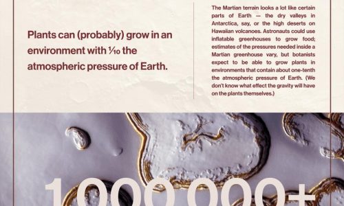 How We’ll Live On Mars Infographic