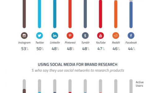 Instagrammers Follow Brands Chart Infographic