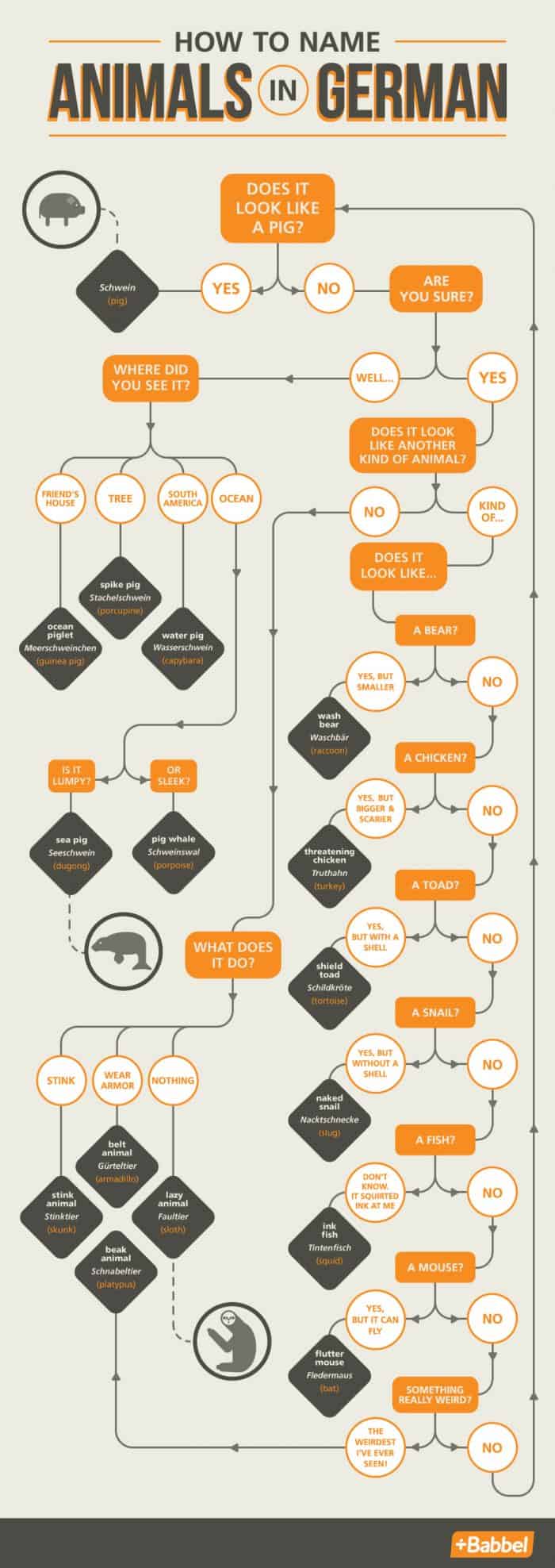 How To Name Animals In German Infographic