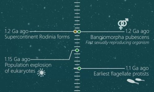 Extremely Detailed History of the Universe Infographic