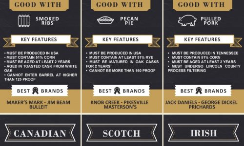 Different Types Of Whiskey Guide Infographic