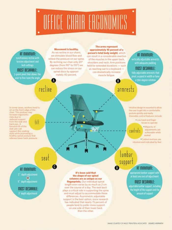 Office Chair Ergonomics Infographic