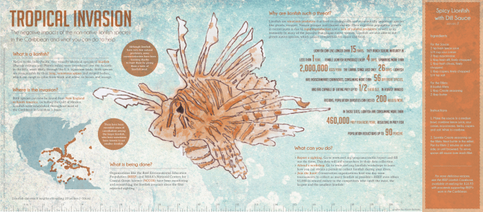 Lion fish infographic
