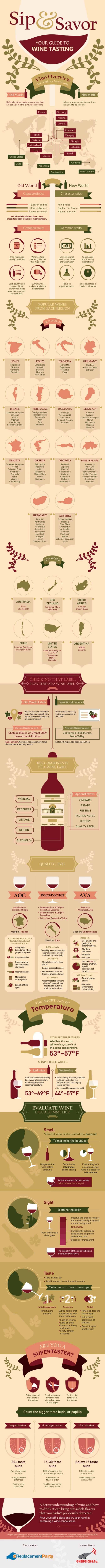 Complete guide to wine tasting infographic