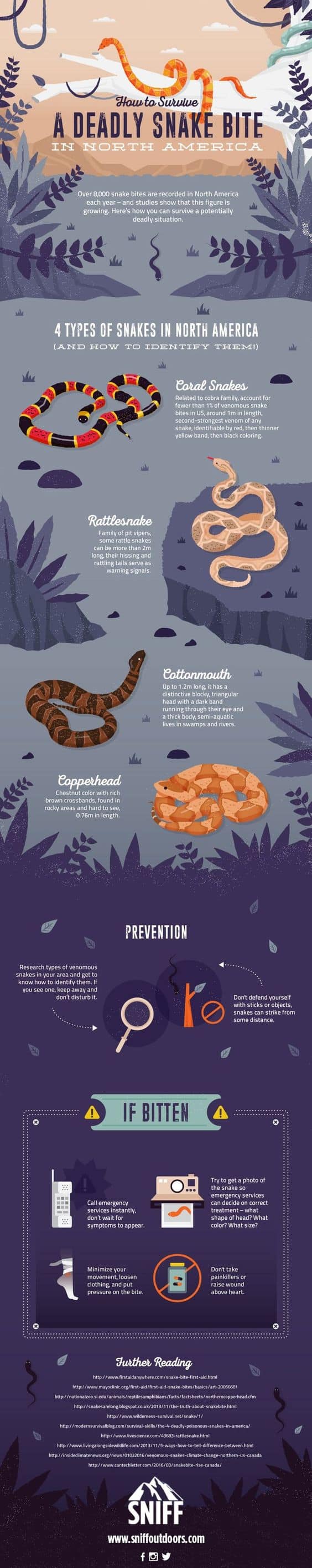 How To Survive A Deadly Snake Bite infographic