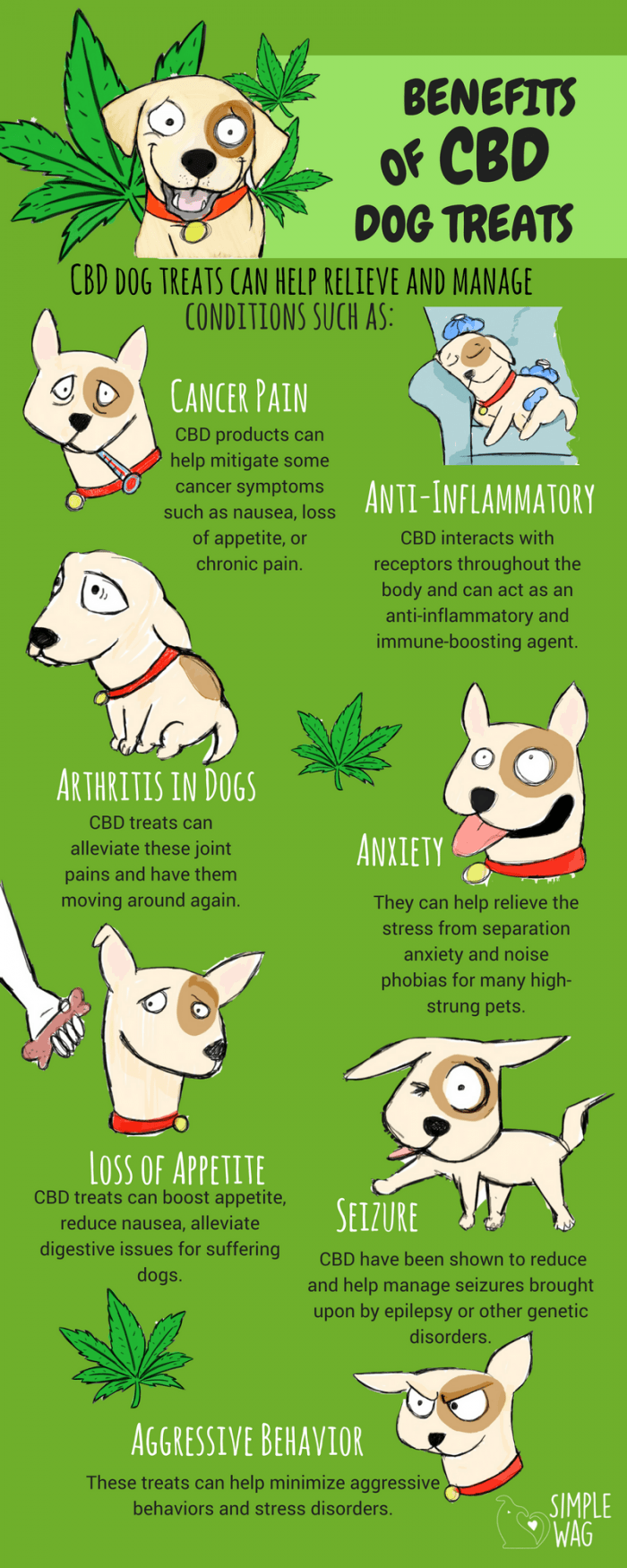 benefits of cannabinoids dog treats that comes from cannabis