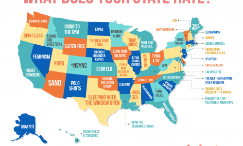 What americans hate in every state